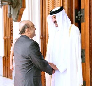 President Asif Ali Zardari in a meeting with His Highness Sheikh Tamim bin Hamad Al Thani, Amir of the State of Qatar at the Amiri Palace.