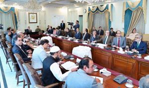 Prime Minister Muhammad Shehbaz Sharif chairs a review meeting regarding cashless economy.