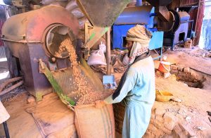 A worker feeding wood into a roasting machine to prepare peanuts at a local workplace on Lehtrar Road in the Federal Capital.