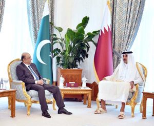 President Asif Ali Zardari in a meeting with His Highness Sheikh Tamim bin Hamad Al Thani, Amir of the State of Qatar at the Amiri Palace.