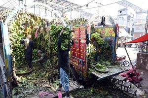 A labourer transporting sacks filled with orange on a wheelbarrow at the fruit market in the Federal Capital.