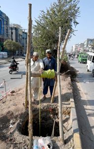 Labourers are busy digging a hole and removing soil to install an electric pole at Khana Pul