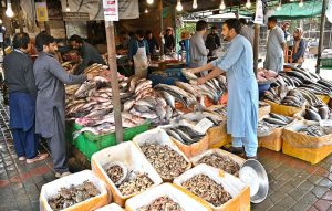 A vendor displaying eggs to attract the customers at H-9 Weekly Bazaar in Federal Capital