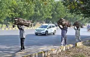People carry bundles of dry tree branches on their heads as they return after collecting them at the Islamabad Expressway.