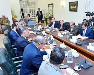 Prime Minister Muhammad Shehbaz Sharif chairs a meeting regarding climate change induced losses and mitigation plan for the next year's Monsoon