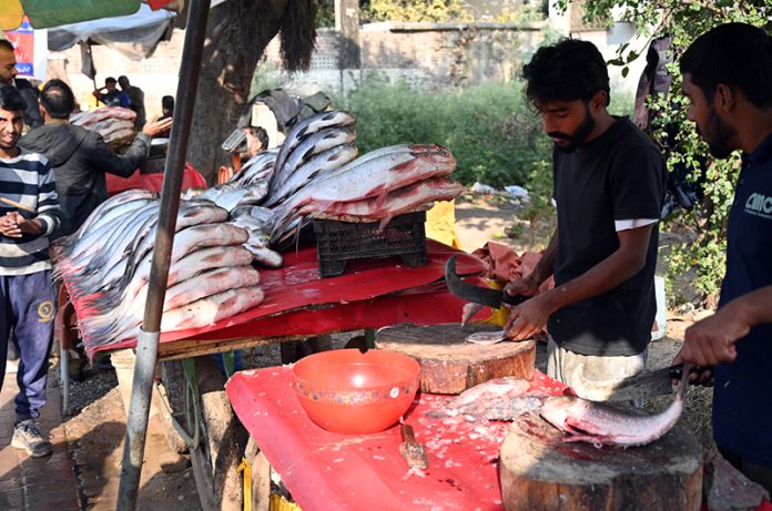 A vendor sells fresh fish along Saidpur Road