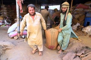 A worker feeding wood into a roasting machine to prepare peanuts at a local workplace on Lehtrar Road in the Federal Capital.