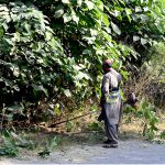 CDA workers busy trimming grass along roadside in the Federal Capital.