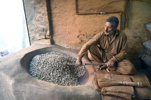 A worker busy in roasting peanuts at his workplace in a local market.