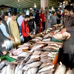 A vendor displaying fish to attract the customers at H-9 Weekly Bazaar in Federal Capital.
