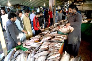 A vendor displaying fish to attract the customers at H-9 Weekly Bazaar in Federal Capital.
