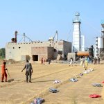 Labourers are busy collecting rice to fill bags after drying at a rice factory