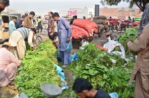 Vendors displaying vegetables ‘mustard’ and ‘spinach’ to attract the customers at Vegetable Market.