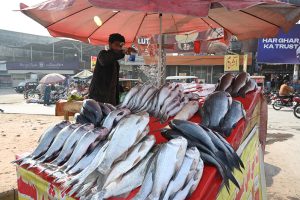 A vendor sells fresh fish along Saidpur Road