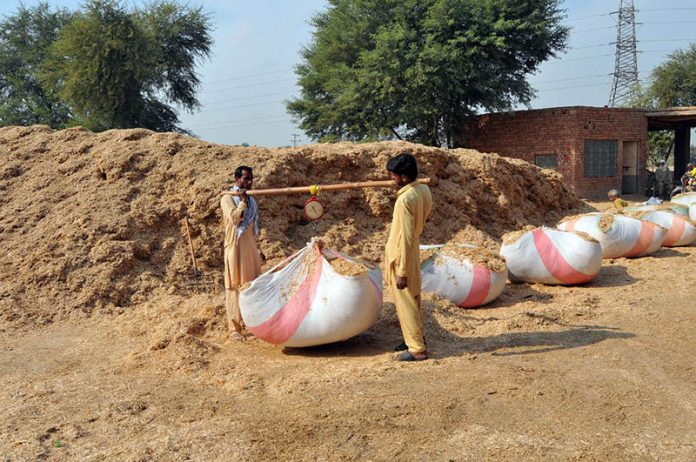 Workers weigh large sacks filled with husk from wheat at a storage site on the outskirts of the city