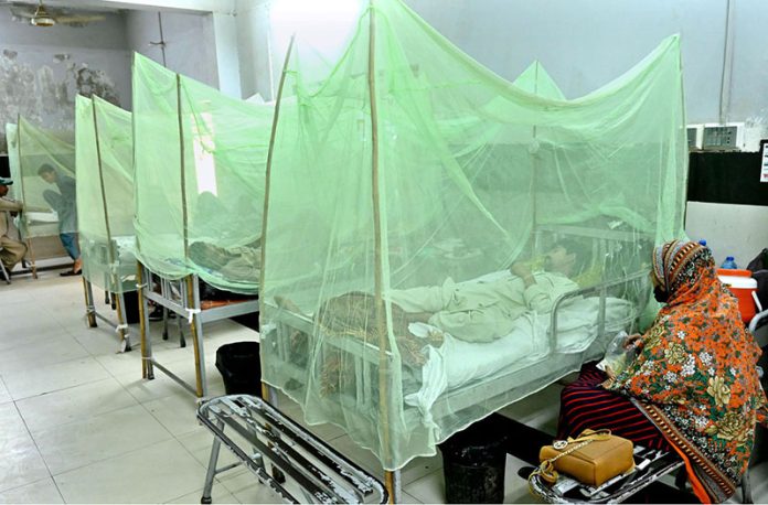 Dengue Patients receive treatment in the dengue ward at Bhitai Hospital as the city faces a sharp rise in dengue cases amid an alarming surge in infections in the city