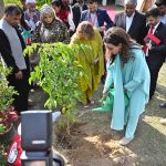 Senator Sherry Rehman is planting a sapling at the Pakistan Red Crescent Society (PRCS) Headquarters
