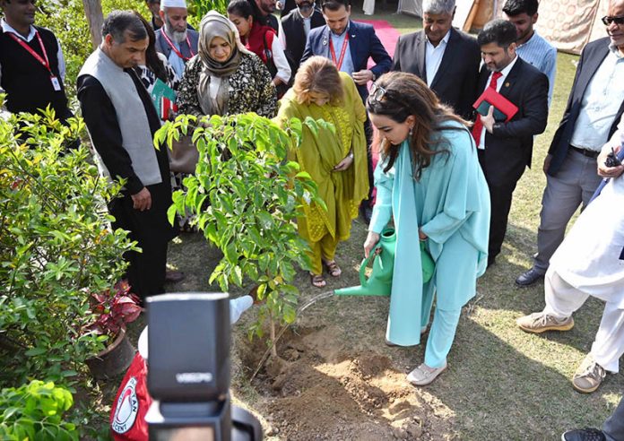 Senator Sherry Rehman is planting a sapling at the Pakistan Red Crescent Society (PRCS) Headquarters