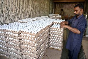 A vendor arranges eggs to attract the customers at his shop.