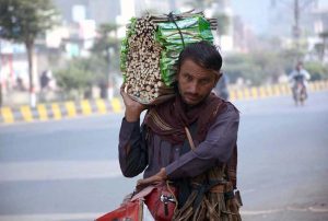 A street vendor walks along a city road, carrying traditional herbal tooth-cleaning sticks (miswak/jhal) to sell to passersby.