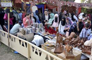 A large number of people are visiting the different stalls setup during Lok Mela-2025 at Lok Virsa.