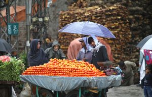 A fruit vendor waits for customers under an umbrella during the season’s first rainfall in the federal capital, as temperatures drop and a cool breeze marks the arrival of winter. APP/ADZ/MAF/TZD/SSH