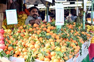 A vendor displays fresh vegetables at his stall to attract customers at the G-9 weekly bazaar in the Federal Capital
