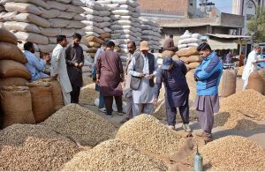 - Traders are buying freshly roasted peanuts at the grain market as the demand for dry fruits, especially peanuts, which are the cheapest winter snack, continues to increase with the onset of the cold season.