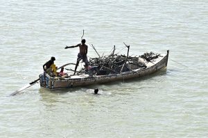 A view of fisherman busy in collecting and loaded woods on the boat at Indus River