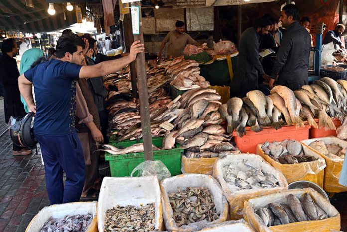 People purchase fresh fish at the G-9 weekly bazaar in the Federal Capital