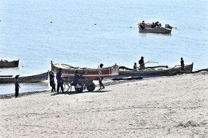 A view of fisherman busy in collecting and loaded woods on the boat at Indus River