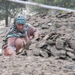 A woman collecting dried dung cake to be used as fuel for cooking and heating purposes
