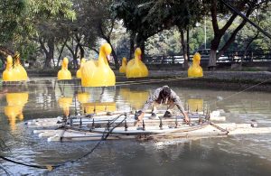 A PHA worker cleans the drains running along the canal.