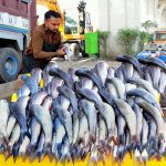 A fish seller busy setting up and displaying his stock at a roadside stall to attract buyers.