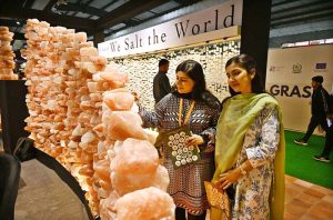 Woman reviewing the products under display at various stalls set at the 3rd International Food and Agriculture Exhibition FoodAg 2025, organized by Trade Development Authority of Pakistan from November 25 to 27 at Expo Center.