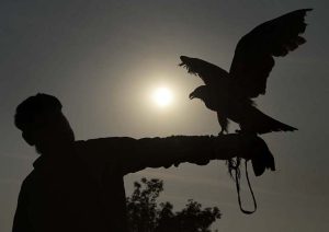 A serene afternoon scene at Rawal Lake in the federal capital, with the sun casting its reflection across the still water near a lakeside viewing platform