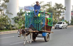 A man rides his donkey cart loaded with Iron bed along Multan Road, heading to deliver them to their destination