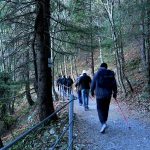 Visitors enjoy walk on Pipeline Trek in Ayub National Park at the hill town of Nathia Gali.