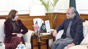 Federal Minister for Interior Mohsin Naqvi in a meeting with Acting US Ambassador Natalie Baker in federal capital.