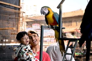 Children keenly watch Macaw parrots at the Saddar Bird Market.