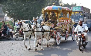 A beautiful horse-drawn carriage roams the streets in search of passengers, keeping the traditional mode of transportation alive amidst the city's modern era.