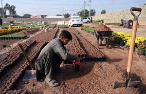 A worker showers water on plants at the H-9 nursery in the Federal Capital