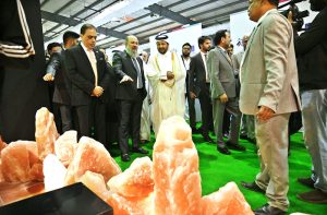 Federal Commerce Minister Jam Kamal Khan talking to the media during visit the 3rd International Food and Agriculture Exhibition, FoodAg 2025, held for three days at the Expo Center.