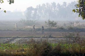 View of thick fog while farmers are busy in ploughing in his fields in a traditional way at Hazar Khawani area.