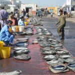 Fishermen sell fish on a footpath to attract customers at Ibrahim Hyderi area