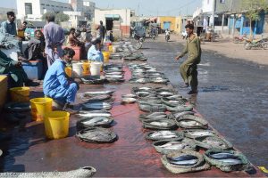 Fishermen sell fish on a footpath to attract customers at Ibrahim Hyderi area