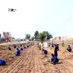 Pakistan Railways and Punjab Govt launch Urban Tree Plantation Drive along Railway tracks-a major step toward a greener, cleaner Pakistan