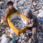 Children carry a box full of small fishes after catching them from the Rice Canal