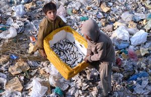 Children carry a box full of small fishes after catching them from the Rice Canal