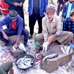 Vendors prepares fish for customers